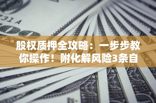 济南股权质押全攻略：一步步教你操作！附化解风险3条自救法则
