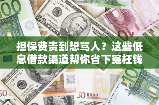 济南担保费贵到想骂人？这些低息借款渠道帮你省下冤枉钱