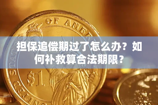 济南担保追偿期过了怎么办？如何补救算合法期限？